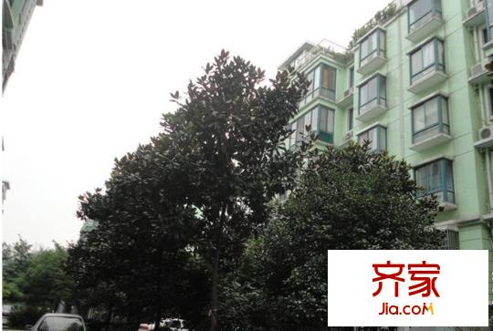 新城家園外景圖 