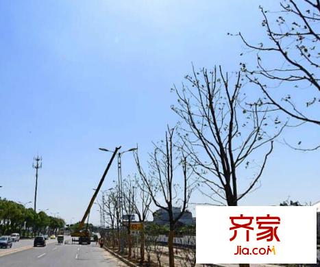 澍虹花苑外景圖