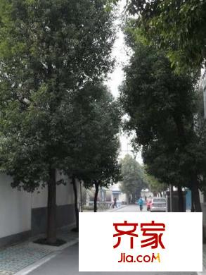 長風新村外景圖