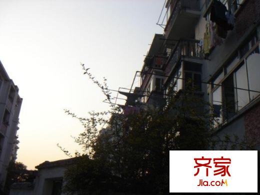 棗市新村