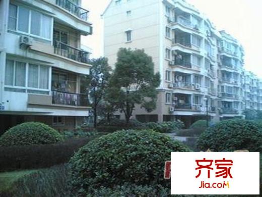 新元路