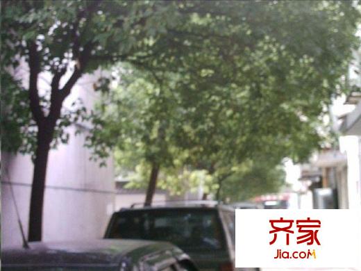 曹胡徐巷