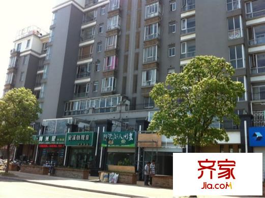 麗致星河外景圖