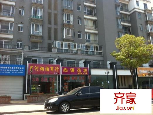 麗致星河外景圖