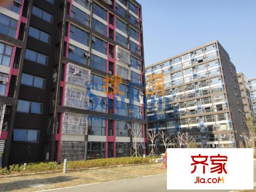 漕湖之星實(shí)景圖小高層2012.12.20