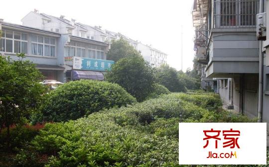 吳模家園外景圖 