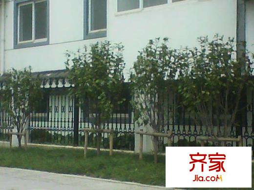 東匯路小區(qū)外景圖東匯路