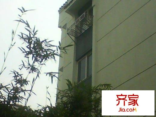 東匯路小區(qū)外景圖東匯路