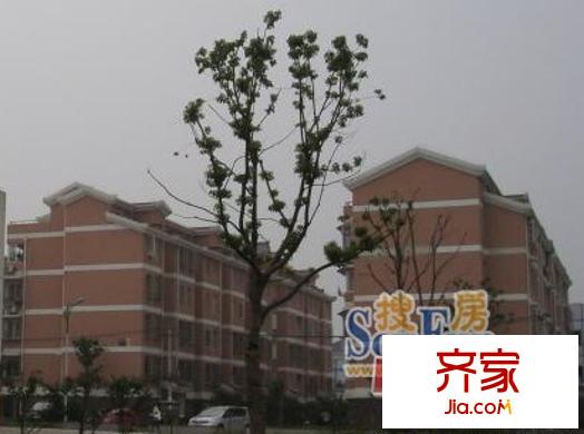 淞澤家園九區(qū)