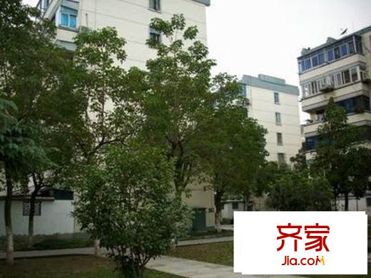 朱家莊新村外景圖