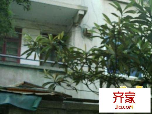 鐘樓新村外景圖