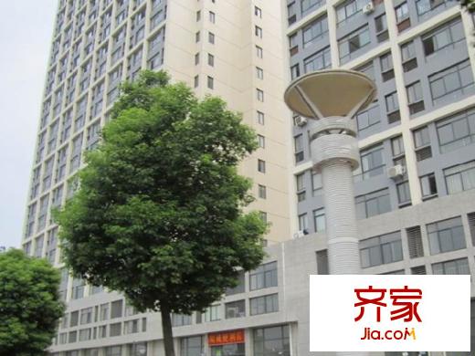 蜜蜂城外景圖