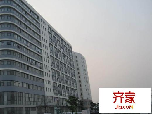 蜜蜂城