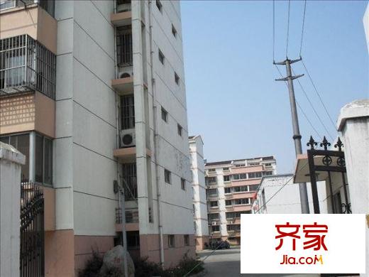 陽澄花園外景圖  