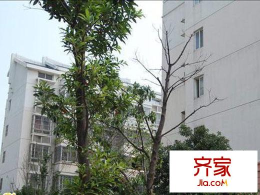 古巷二村外景圖 