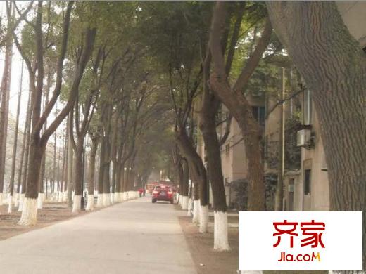 蘇大北校區(qū)小區(qū)外景圖
