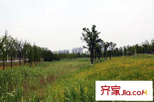 水秀坊配套圖項(xiàng)目向東200米諾貝爾湖