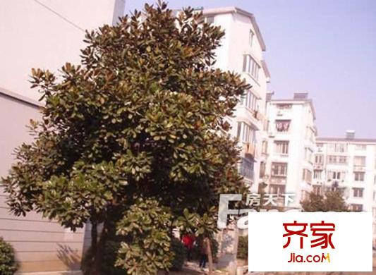 梅亭苑外景圖