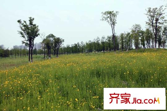 水秀坊配套圖項(xiàng)目向東200米諾貝爾湖