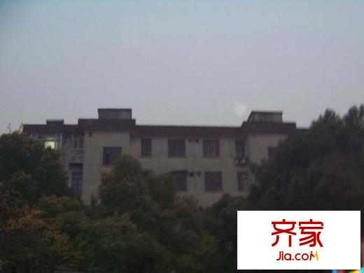三元三村
