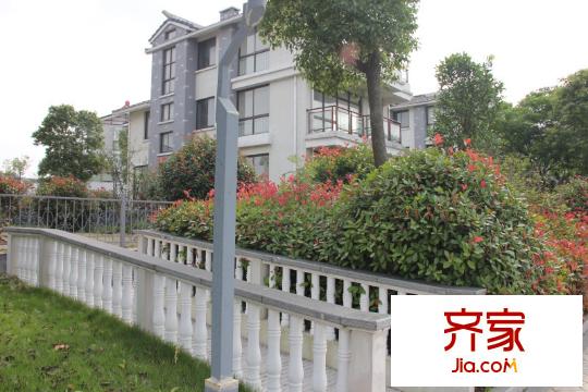 假日半島實(shí)景圖