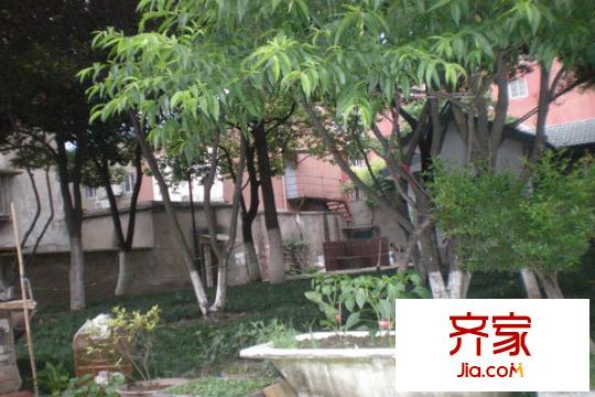 葑門石炮頭外景圖