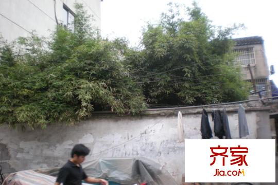 葑門石炮頭外景圖