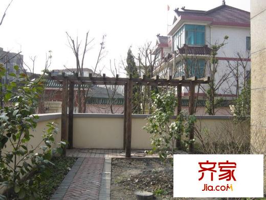 君悅半島實景圖小區(qū)別墅花園實景2013.1.10