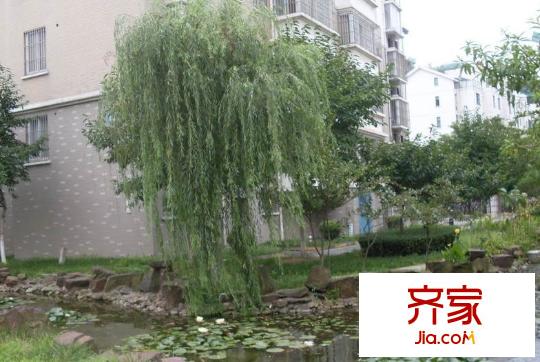 太湖小區(qū)外景圖 