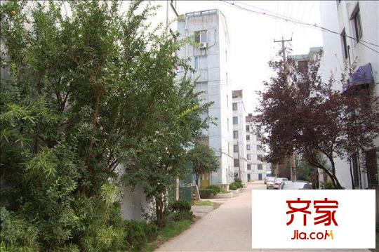 樂(lè)苑小區(qū)外景圖