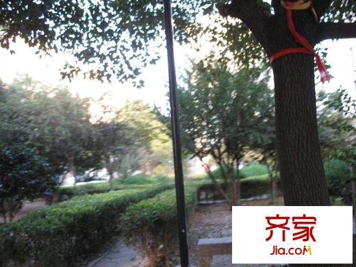 碧波花園三區(qū)外景圖 