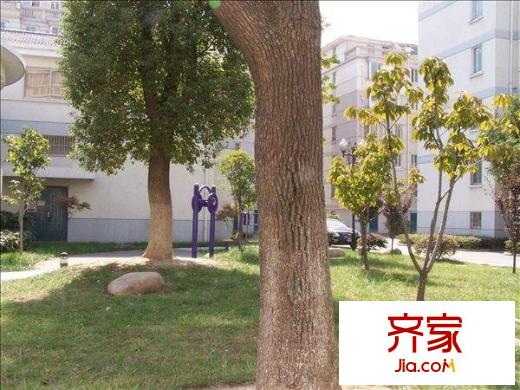 夏蓮花園外景圖
