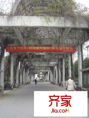娛苑新村外景圖