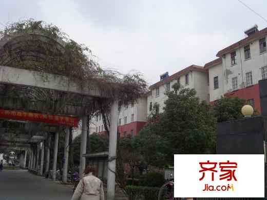 娛苑新村外景圖