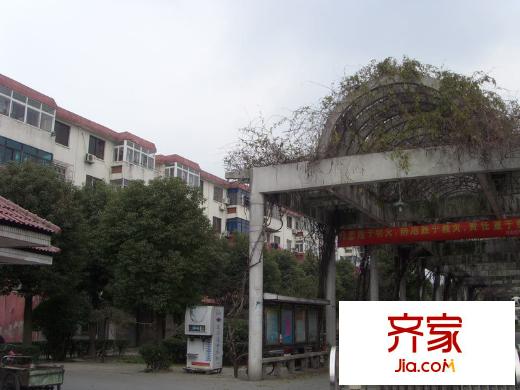娛苑新村外景圖