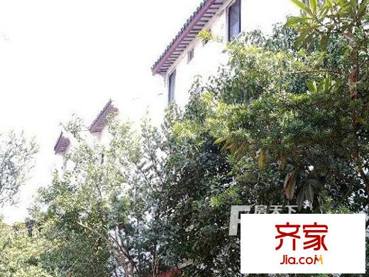 宋仙洲巷外景圖