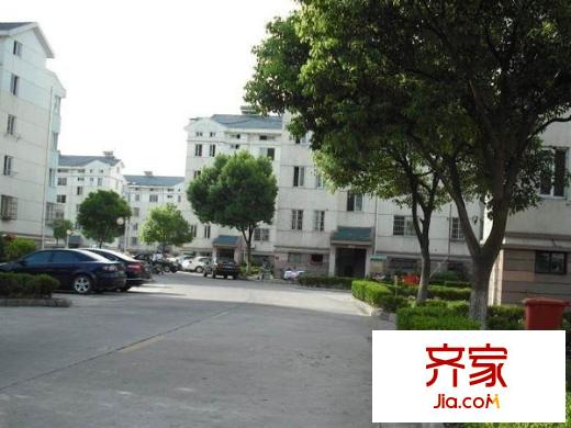 新盛花園(勝浦)外景圖
