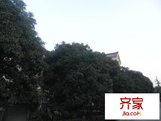 西郊花園外景圖 