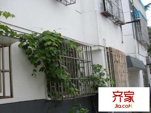 宋仙洲巷外景圖