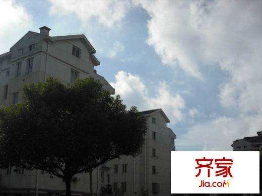 新盛花園(勝浦)外景圖