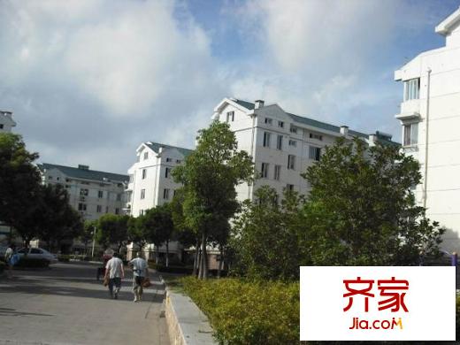 新盛花園(勝浦)外景圖