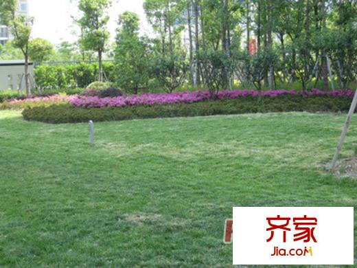 中惠晨曦馨苑二期外景圖 