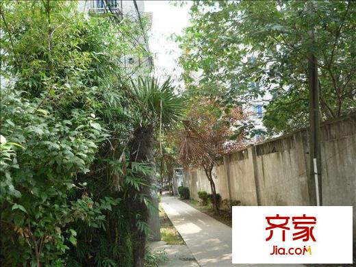 金橋新村外景圖