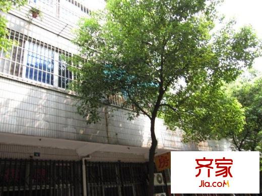 龍苑新村外景圖
