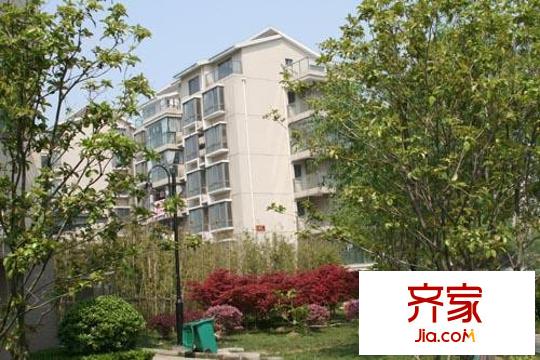 大觀(guān)名園三期外景圖實(shí)景圖