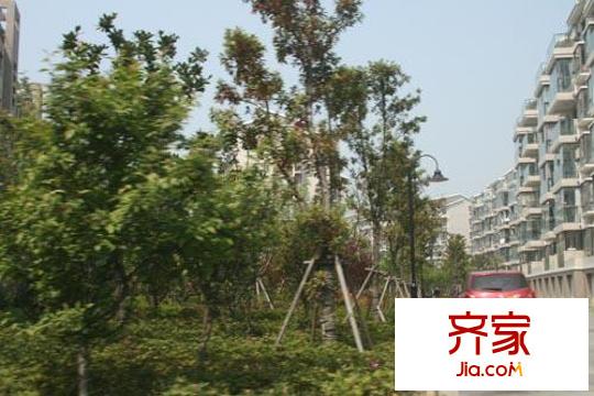 大觀名園三期外景圖實(shí)景圖
