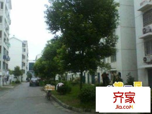 新天地家園外景圖