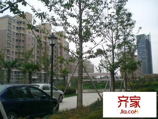 石湖金鉆外景圖 