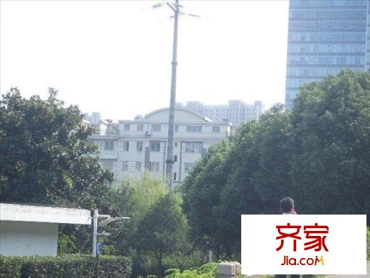 奧林春天外景圖