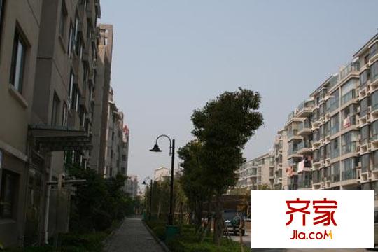 大觀(guān)名園三期外景圖實(shí)景圖